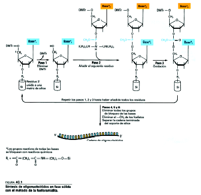 sintesisoligos