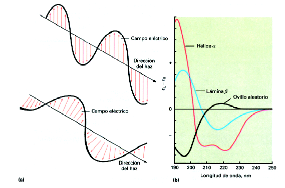 dicroismo