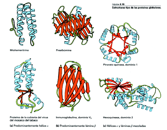 estructurassupersecundarias