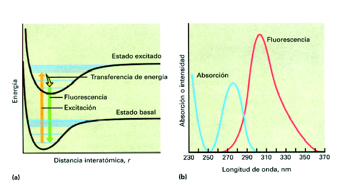 fluorescencia